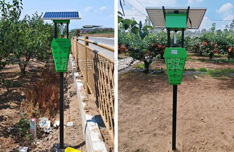 风吸式杀虫灯案例图