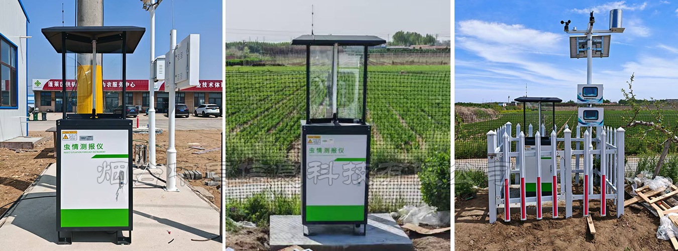 自动虫情测报灯实物.jpg