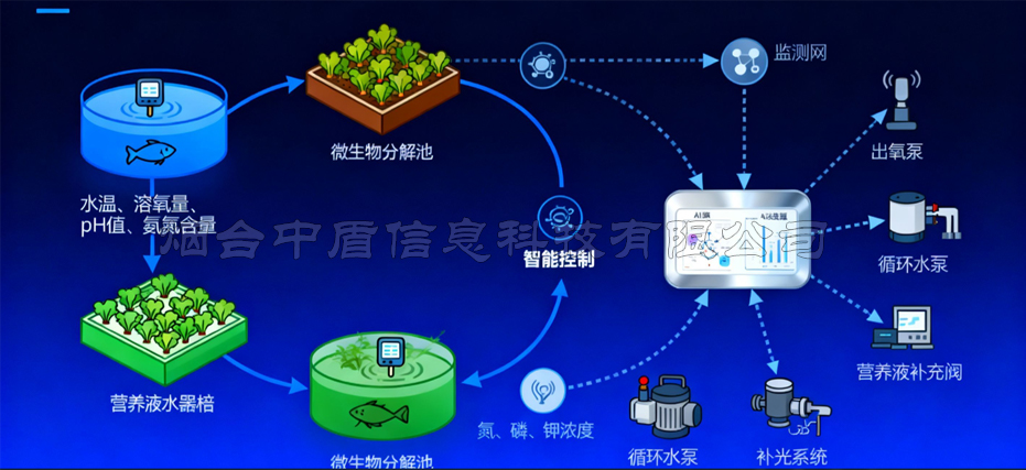 鱼菜共生生态循环系统解决方案