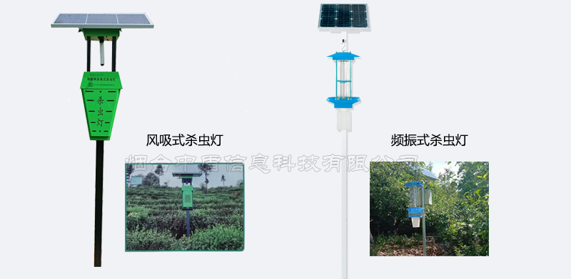 风吸式杀虫灯与频振式杀虫灯